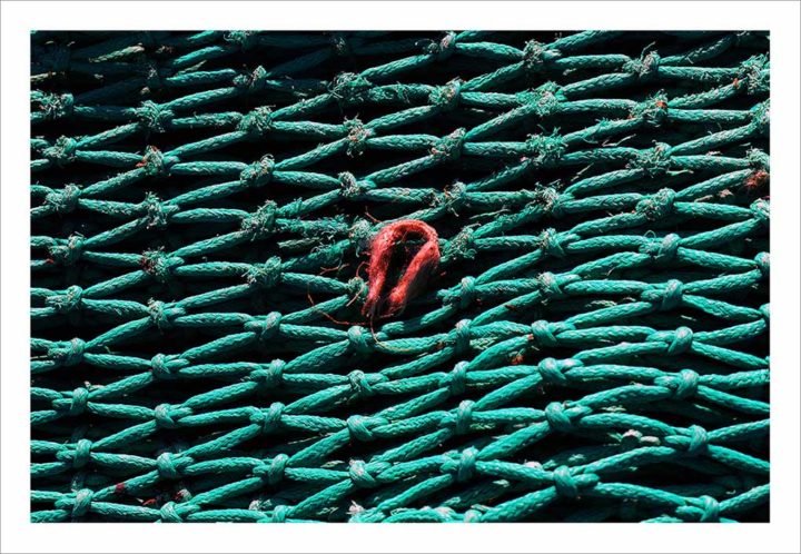 LE CROISIC FILET DE PECHE © Didier Raux 33