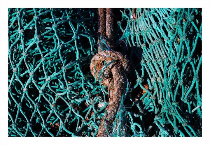 LE CROISIC FILET DE PECHE © Didier Raux 46
