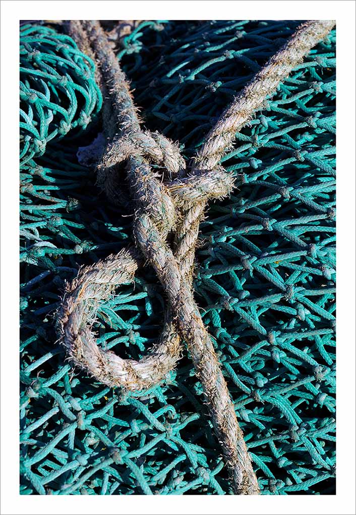 LE CROISIC FILET DE PECHE © Didier Raux 48