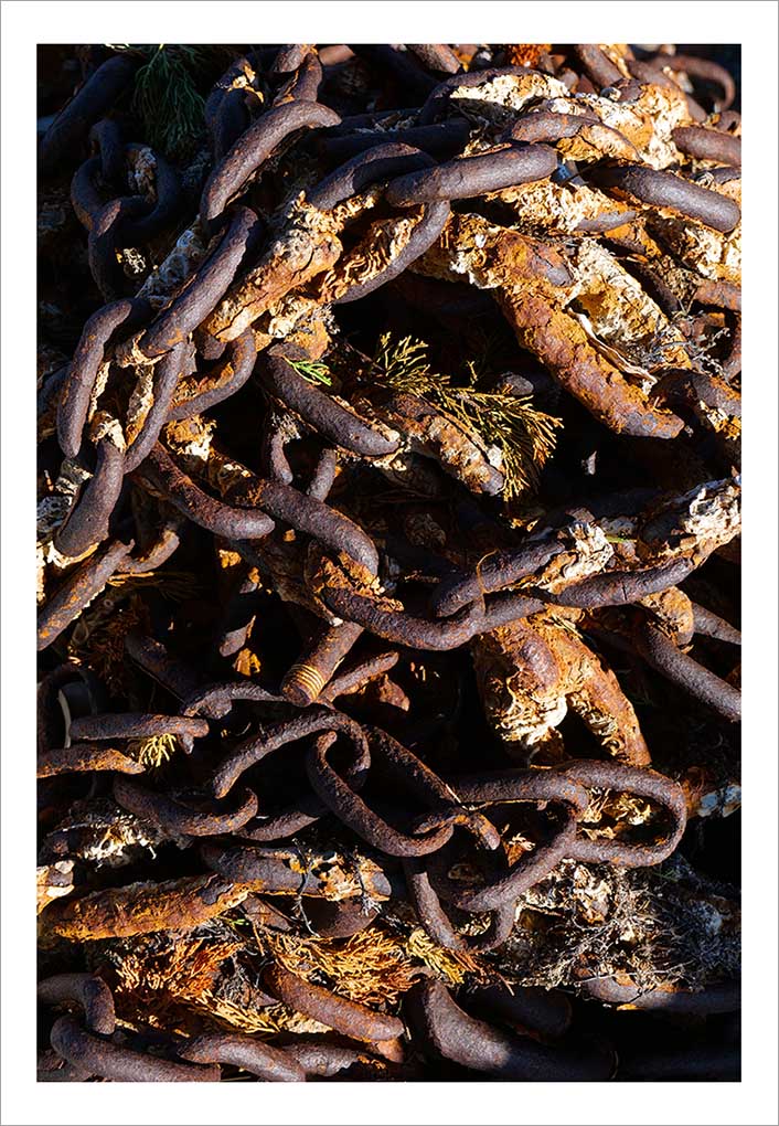 LE CROISIC FILET DE PECHE © Didier Raux 59
