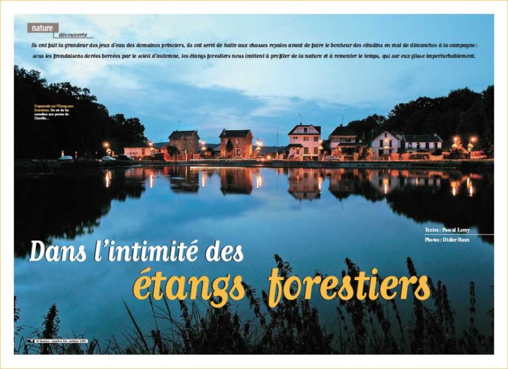 Etangs forestier © Didier Raux 20