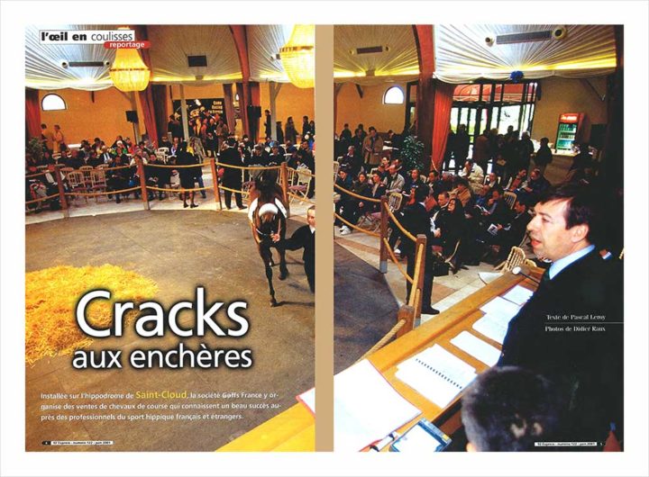 Vente Chevaux Saint-Cloud © Didier Raux -1