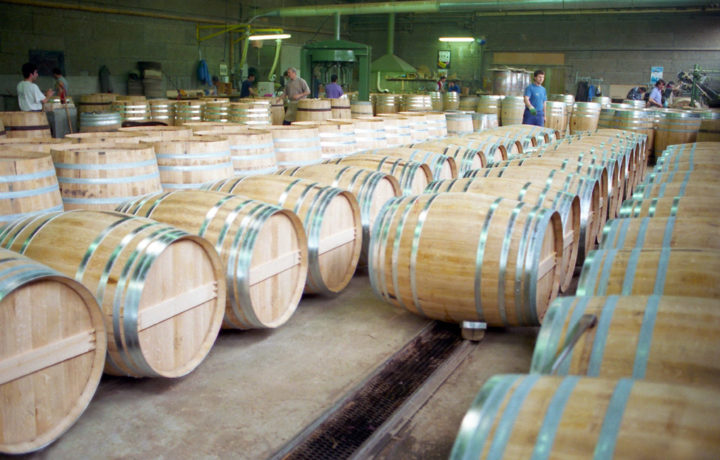 13 COGNAC CHAIS REMY MARTIN © Didier Raux 13
