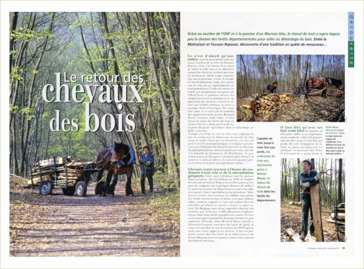 Chevaux des Bois © Didier Raux 3