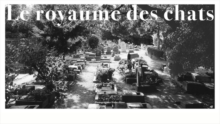 Cimetiere des animaux © Didier Raux