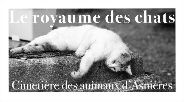 PORTFOLIO CIMETIERE ANIMAUX © Didier Raux.