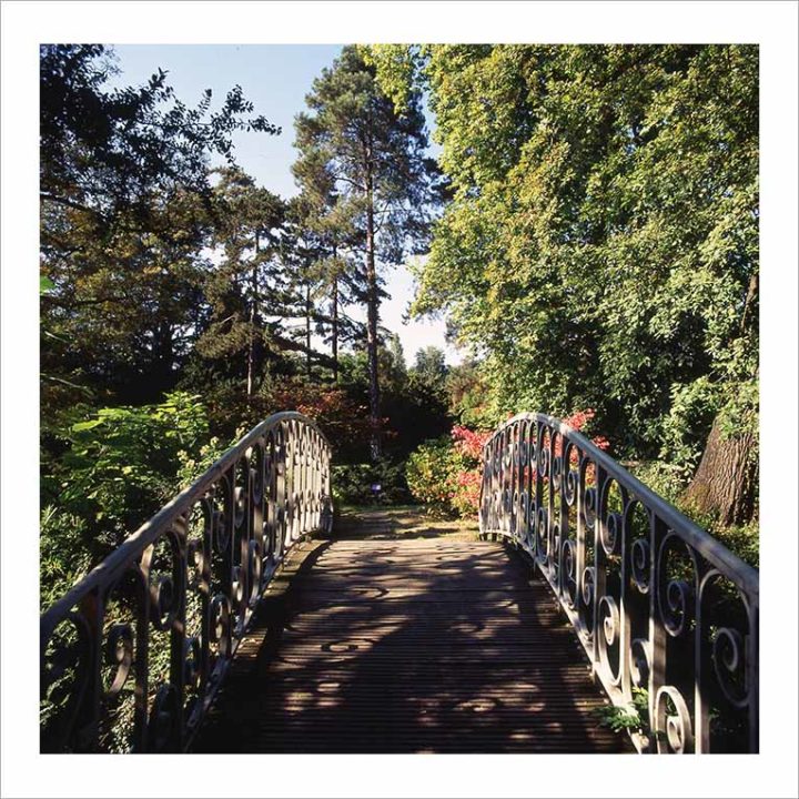 ARBORETUM CHÂTENAY-MALABRY © Didier Raux 23